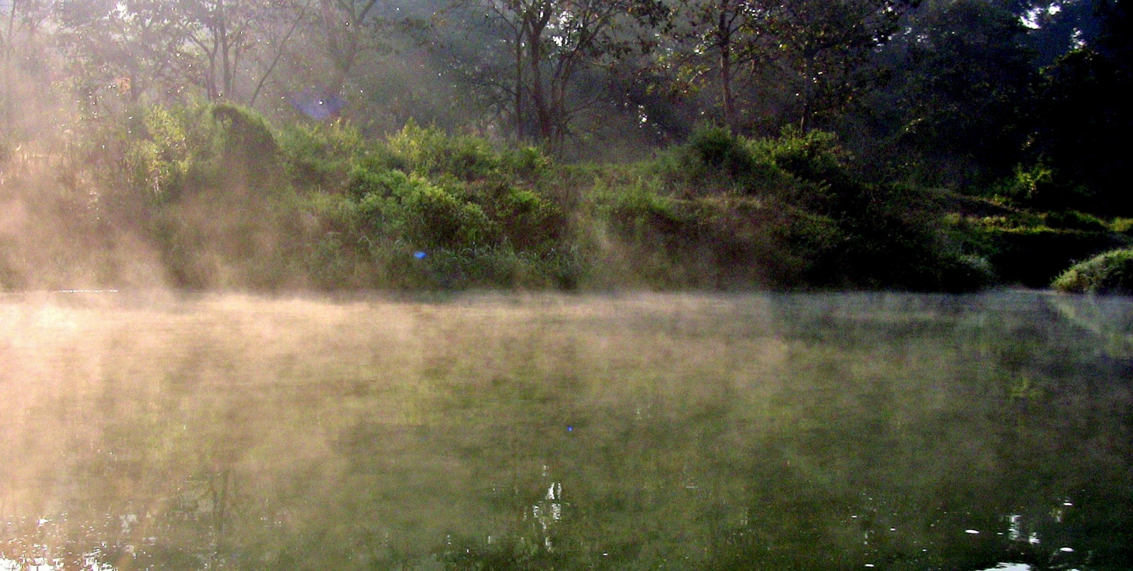 acqua, natura, riflessione, vegetazione, riserva naturale, erba, mattina, albero, Banca, zone umide, foglia, nebbia, luce del sole, fiume, stagno, fenomeno, atmosfera, bosco, risorse idriche, bioma, prato, paesaggio, golena, foresta, cielo, bosco ripariale, bayou, famiglia di erba, natura, palude, ramo, palude, alveo, pianta, lago