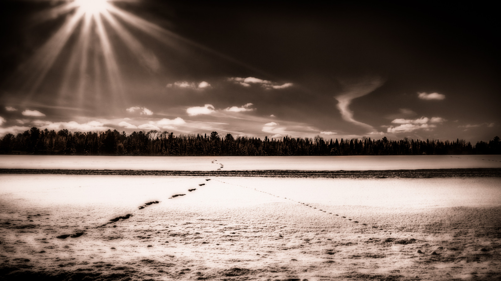 luce del sole, paesaggio, monocromo, tramonto, notte, acqua, natura, riflessione, cielo, la neve, inverno, calma, sera, mattina, nero di seppia, Sole, Canada, impronte, Visione, brani, crepuscolo, sentiero, sentiero, Silenzioso, pace, Nirvana, paysage, neige, Serenità, Trekking, tranquillità, Spedizione, leggero, bianco e nero, nazione, nube, tempo metereologico, bw, onda, pista, oscurità, Soleil, hiver, viaggio, noiretblanc, viaggio, nb, chemin, minimalista, treeline, calme, Sentier, rifugio, s r nit, abeti, fenomeno atmosferico, bianco e nero, fotografia in bianco e nero, fenomeno meteorologico, pellegrinaggio, sentiero, scalinata verso il cielo, rivelazione, Sanctuaire, Voie, tracce, minimaliste, p lerinage, empreintes, photographia, di stella, paix, gita, paeceful, placido, Placide, tranquilit, candianwinter, hivercanadien, Sapins