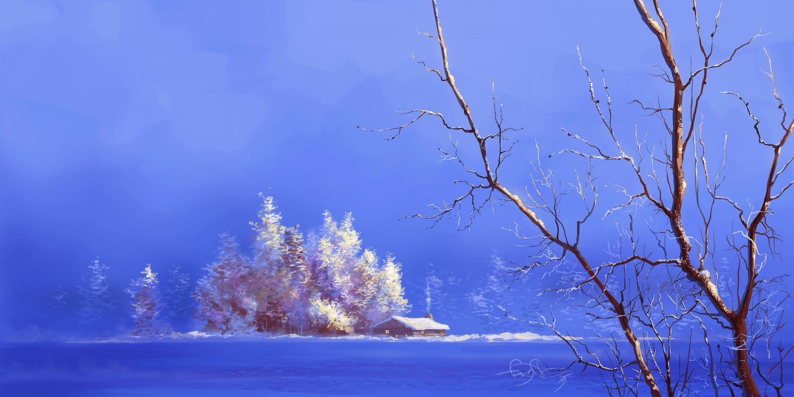 Sfondi Cielo Giorno Azzurro Ramo Natural Landscape La Neve 