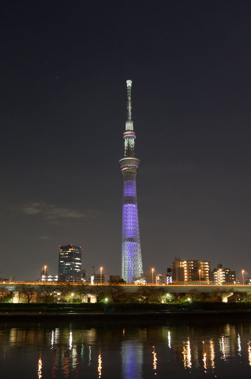 일본,시티,도시 풍경,밤,건축물,반사