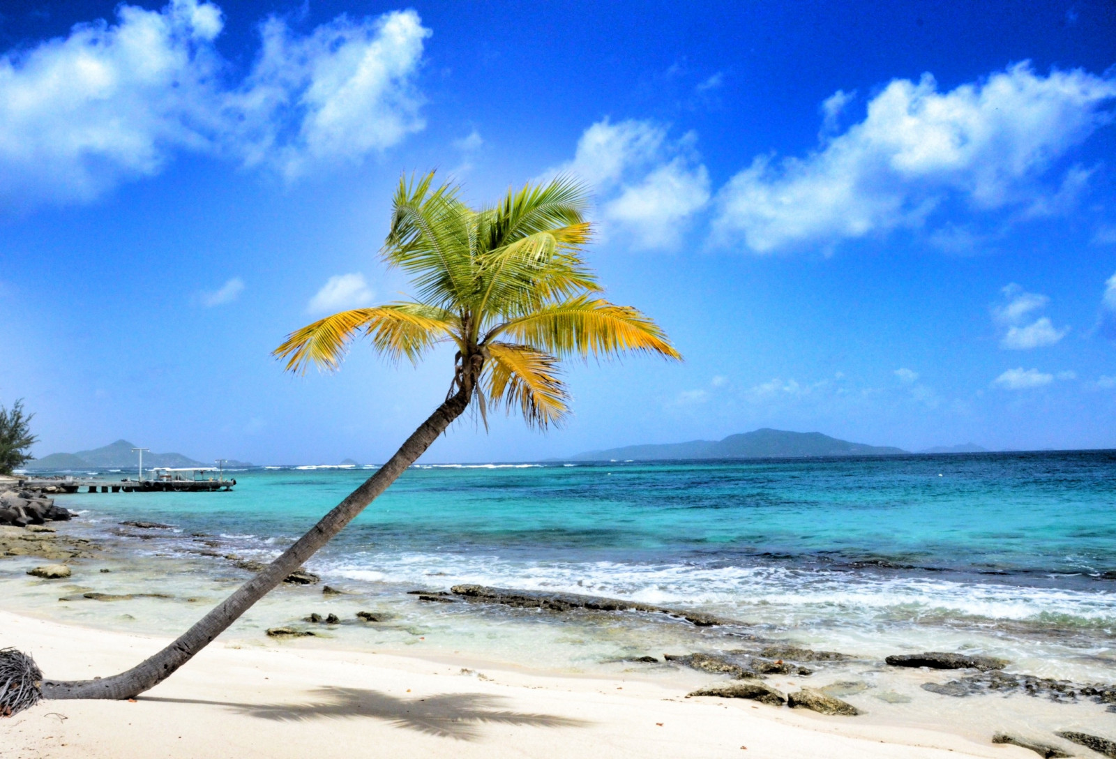 stromy, světla, kočka, loď, západ slunce, moře, záliv, voda, pobřeží, nebe, pláž, Cestovní ruch, zelená, pobřeží, slunce, korál, Iguana, tyrkysový, ostrov, laguna, Nikon, kaktus, molo, Dovolená, jíst, šťastný, Pepsi, karibský, rasta, Fujifilm, dovolená, královský, dlouho, expozice, mrak, strom, NIKKOR, pano, pták, dlaň, oceán, D7000, panoramatický, sen, kajak, kánoe, úžasný, stezka, fuji, X1, plaz, Svatý, tropy, ráj, plachta, koktejl, x100, x10, vr2, vincent, svaz, Tokina, soukromý, 18200, počítač tapeta, arecales, fregata, hobbie, 1116, palma, ulita, Grenadíny, Restaurace, coastal and oceanic landforms