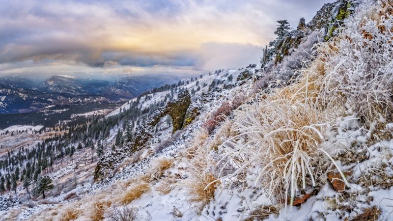 landscape, nature, snow, winter, ice, frost landscape, nature, snow, winter, ice, frost