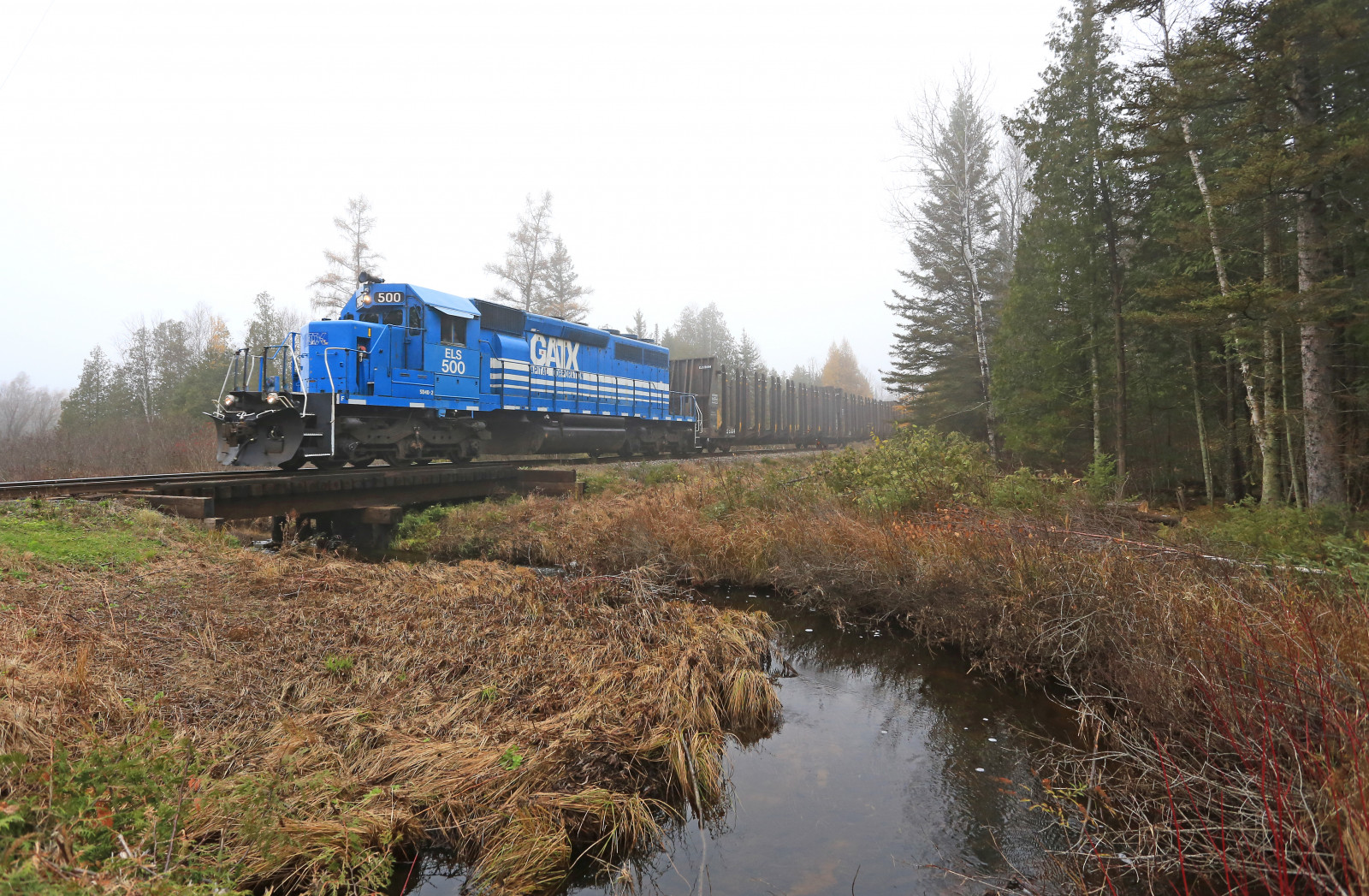 keř, silnice, rd, Michigan, horní, poloostrov, els, Escanaba, jezero, nadřízený, železnice, železnice, vlak, sklad, tlustý, mlha, EMD, sd402, 500, Gatx, modrý, podzim, přepínač, vydržet, záznam, cars, Pracovní, život, čistý, mi, venkovní, Sagola, strom, mlhavý