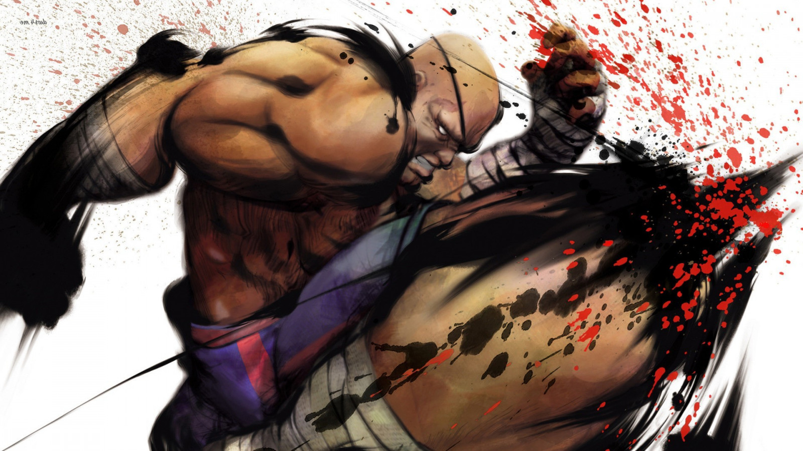 1920x1080 px, Sagat Street Fighter, pouliční rváč, videohry