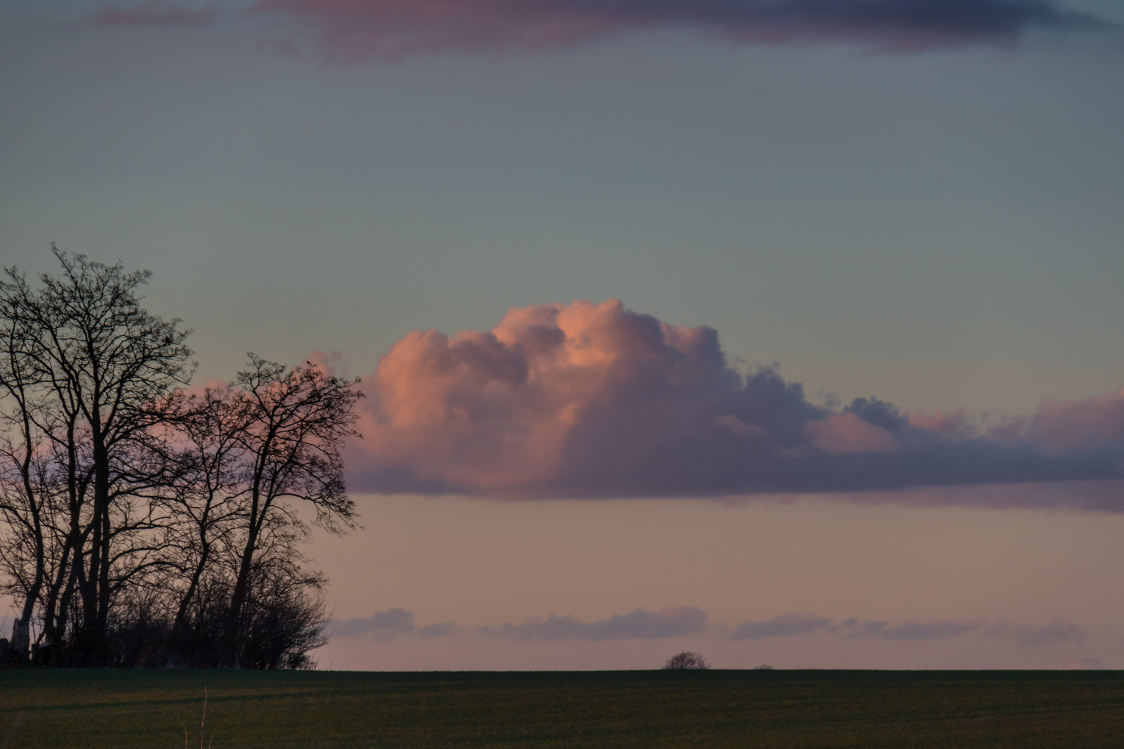 sollys, landskab, solnedgang, bakke, natur, afspejling, himmel, Mark, solopgang, aften, morgen, tåge, horisont, atmosfære, skumring, Sky, træ, vejr, daggry, himmel, solnedg ng, sk ne, landskabet, Moln, landsbygd, s dersl tt, landskap, almindeligt, prærie, landdistrikt, atmosfærisk fænomen, atmosfære af jord, meteorologisk fænomen