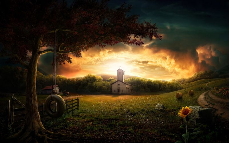 napfény, napnyugta, éjszaka, tájkép, fantasy art, virágok napfény, napnyugta, éjszaka, tájkép, fantasy art, virágok