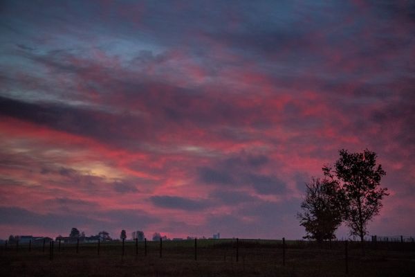 sunlight,landscape,sunset,sky,sunrise,evening