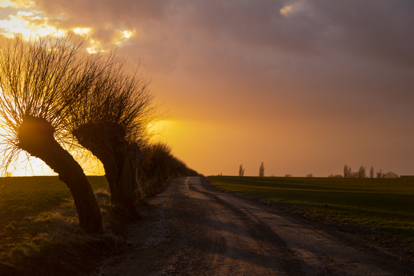 slunečnímu záření, krajina, západ slunce, noc, kopec, Příroda, nebe, pole, svítání, večer, ráno, mlha, slunce, horizont, atmosféra, soumrak, Vrba, světlo, mrak, strom, svítání, nebe, solnedg ng, tr d, sk ne, venkov, moln, landsbygd, s dersl tt, landskap, pilar, PIL, piltr d, piletr d, atmosférický jev, dřevina, astronomický objekt