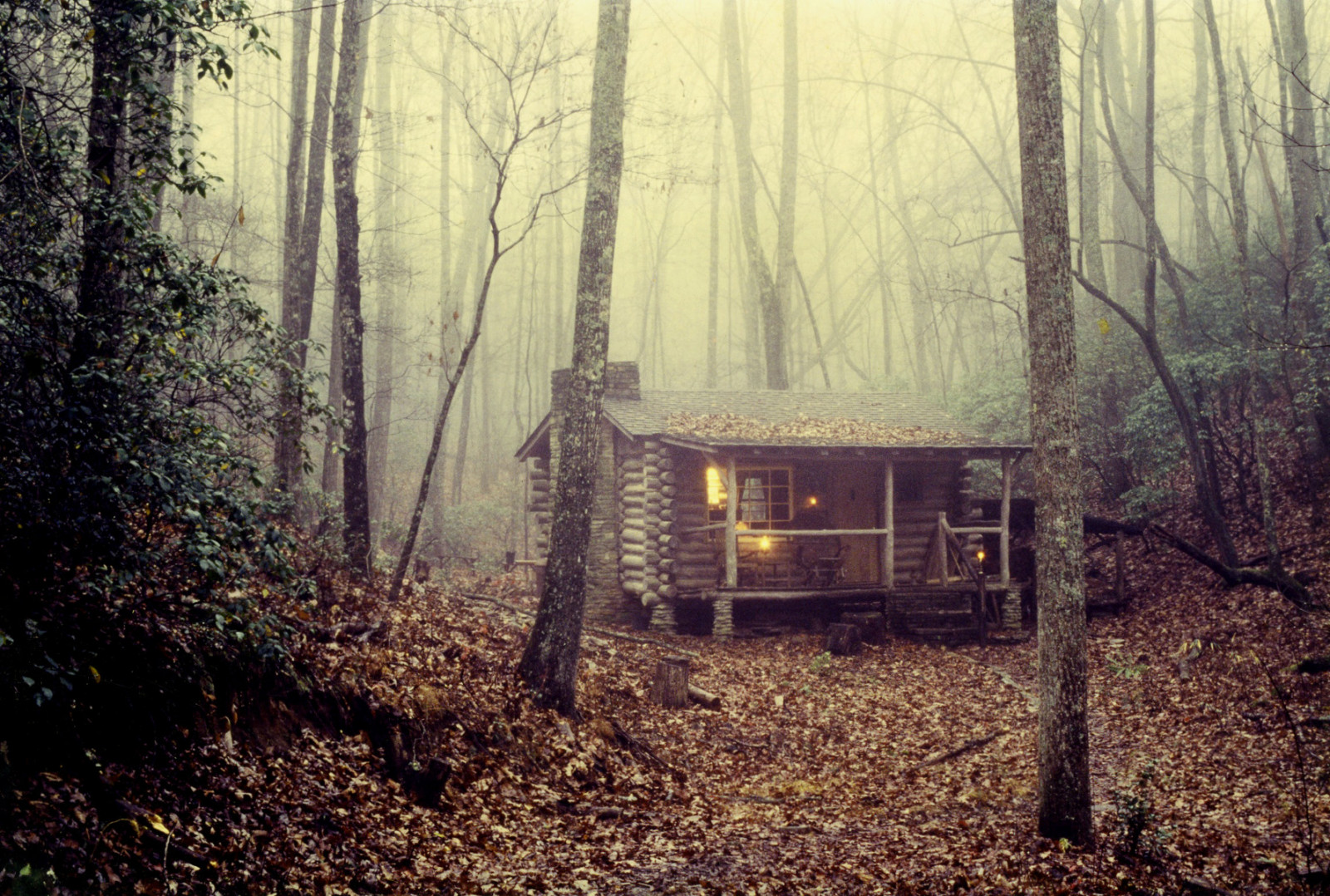 Wallpaper Misty, woodland, log, cabin, northcarolina, tuxedo