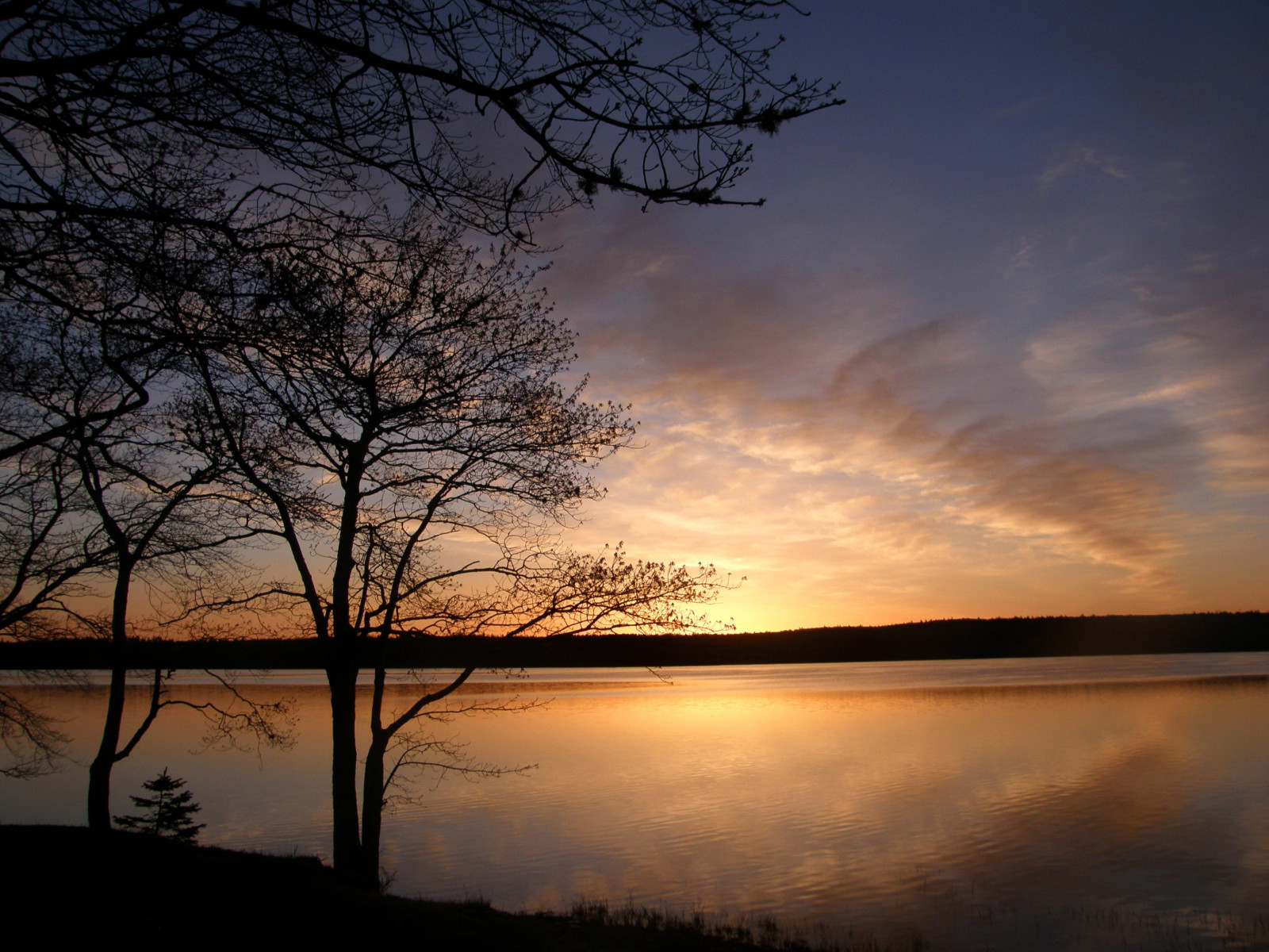 slunečnímu záření, západ slunce, jezero, Příroda, odraz, nebe, větev, svítání, večer, ráno, slunce, atmosféra, soumrak, mrak, strom, svítání, atmosférický jev, odlesk, yarmouthnovascotia