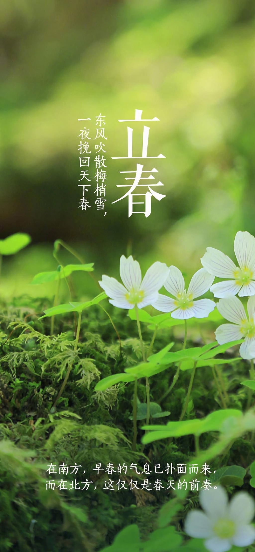 natur, lichun, vertikal, säsonger, Chinese flag