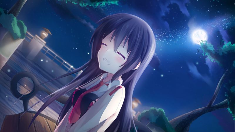 Νύχτα,μακριά μαλλιά,anime,κορίτσια anime,Φεγγάρι,μαύρα μαλλιά