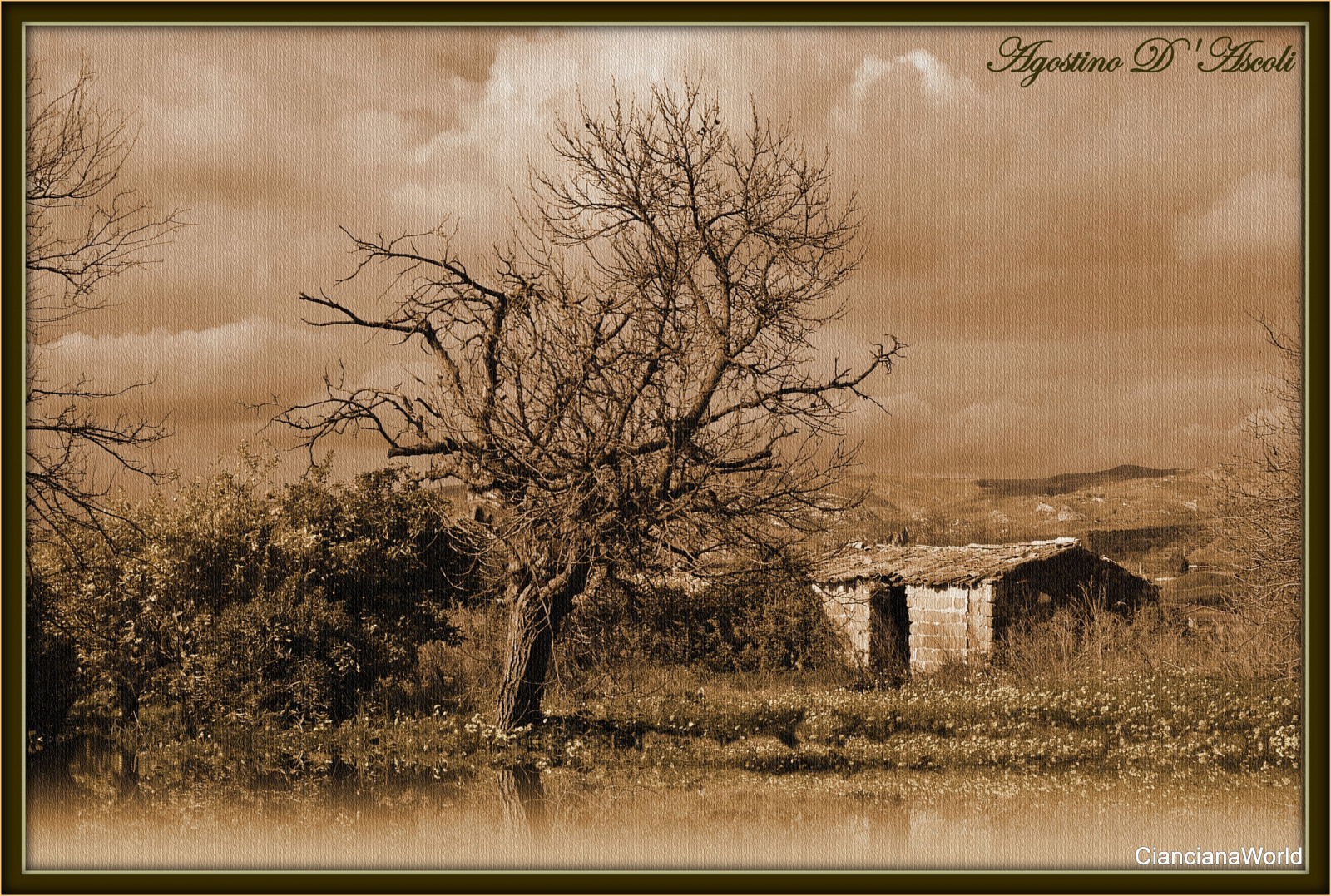 UMĚNÍ, digitální umění, textura, Příroda, agostinodascoli, alberi, krajina, Paesaggi, Seppia, Nikon, NIKKOR, Cianciana, Sicilia, Photoshop, photopainting