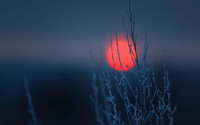 luce del sole, riflessione, cielo, piante, blu, macro luce del sole, riflessione, cielo, piante, blu, macro