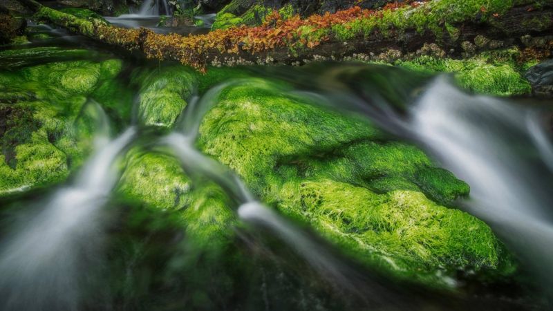 lange blootstelling, Canada, groen, water, rots, natuur lange blootstelling, Canada, groen, water, rots, natuur
