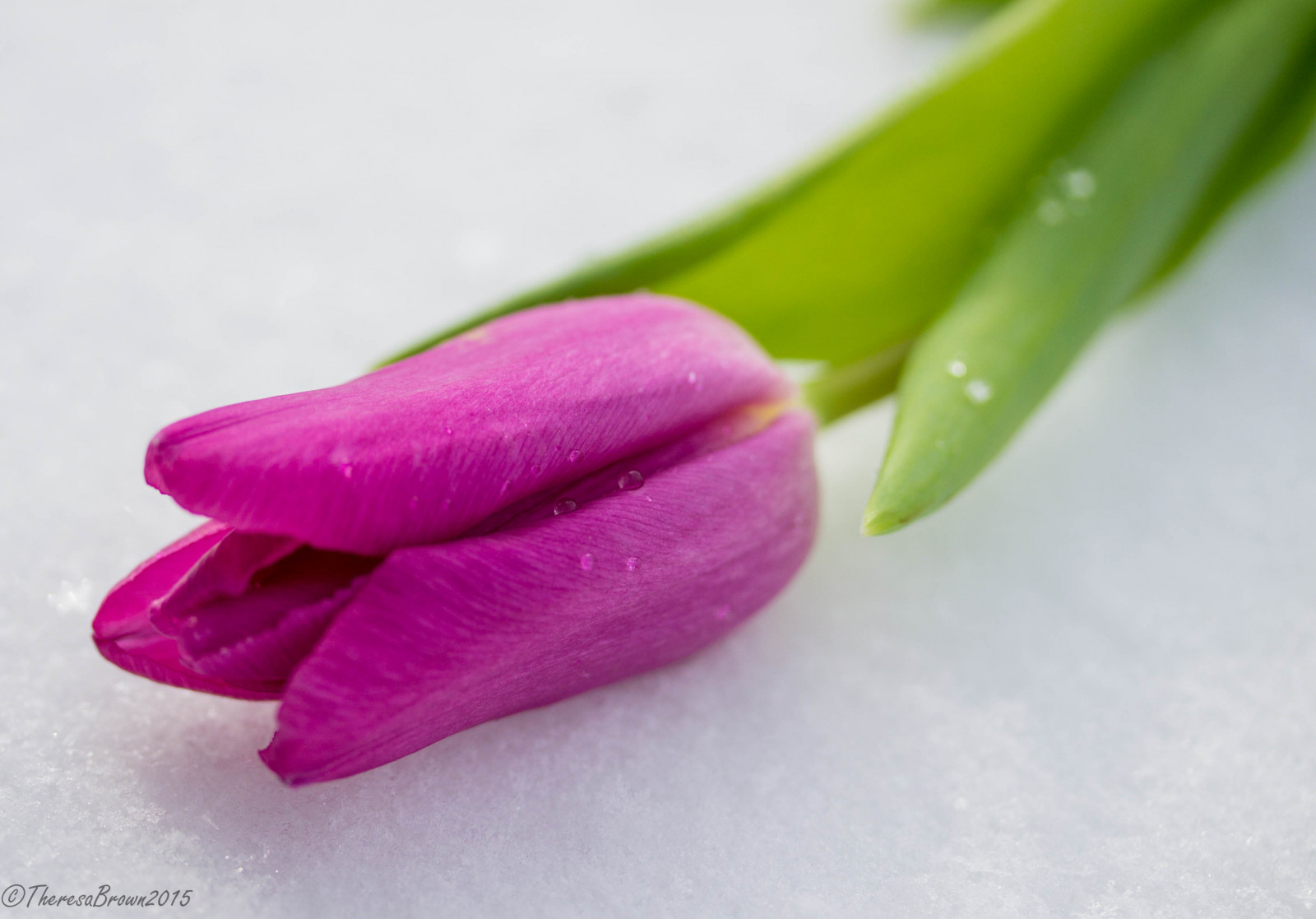Unduh 2000 Wallpaper Cantik Salju HD Gratis Unduh 2000 Wallpaper Cantik Salju HD Gratis