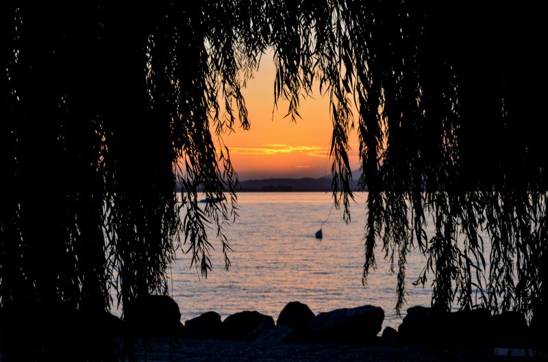 animals, nature, sunlight, sunset, night, reflection animals, nature, sunlight, sunset, night, reflection
