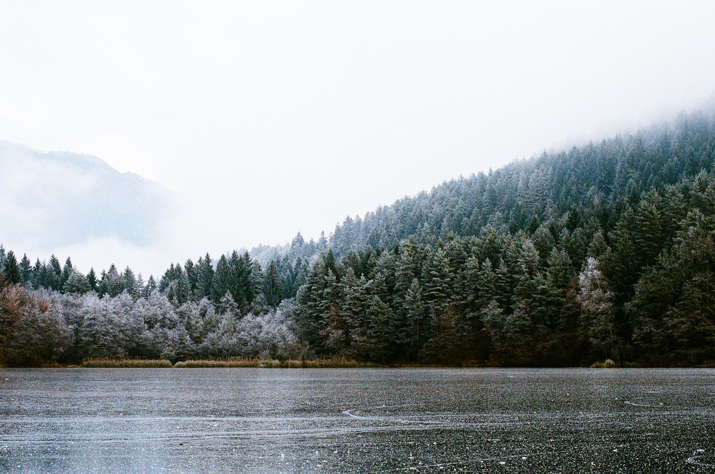 stromy, krajina, les, kopec, jezero, voda, Příroda, odraz, nebe, sníh, zima, dřevo, Studený, ráno, mlha, mráz, řeka, národní park, Nikon, Vánoce, divočina, Evropa, Rakousko, jedle, mrtví, banka, zmrazení, výstřel, 2016, 2017, mrak, strom, 50mm, mlha, list, hora, je, rostlina, analogový, ledový, fuji, film, 400, nádrž, vidět, AFS, 18g, Osterreich, F100, eu, Superia, vysočina, jezero, dřevina, pohoří, k rnten, Korutany, Villach, Vassacher
