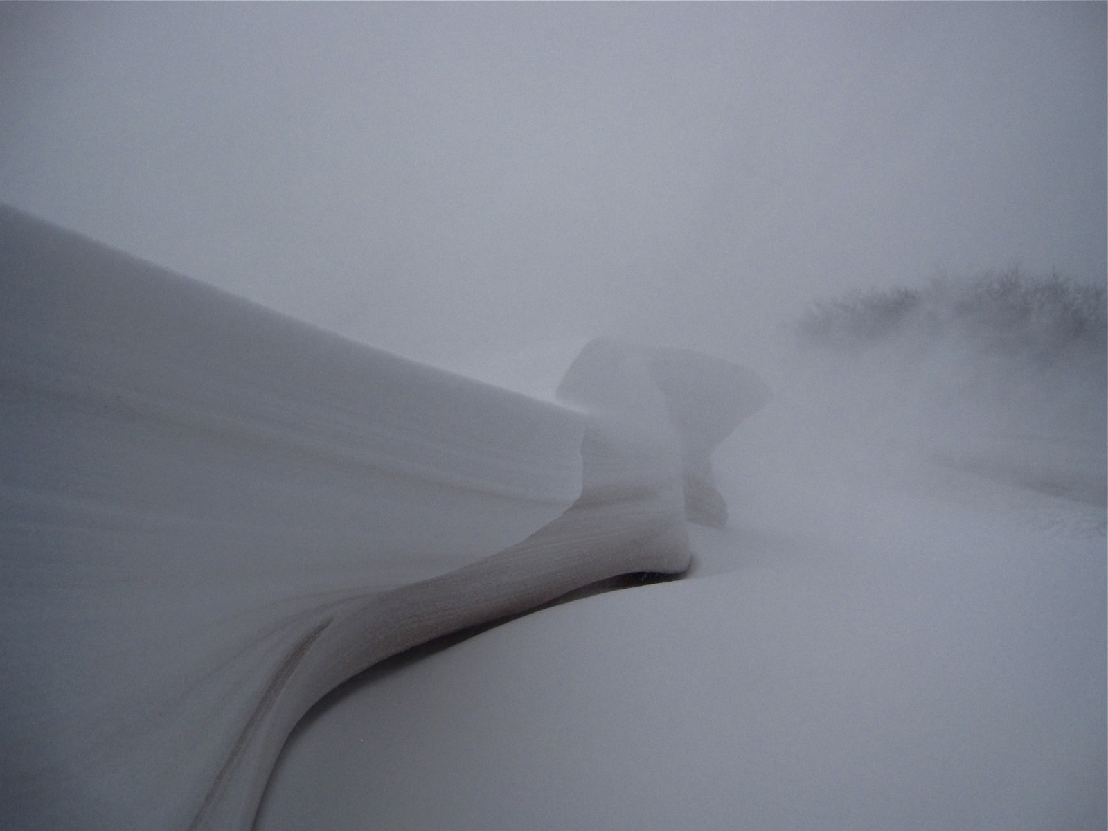 la neve, Chicago, ghiaccio, tempo metereologico, Illinois, La neve, febbraio, bufera di neve, deriva, Loyolabeach, Rogerspark, Aspetto atmosferico, Thundersnow, 2011blizzard