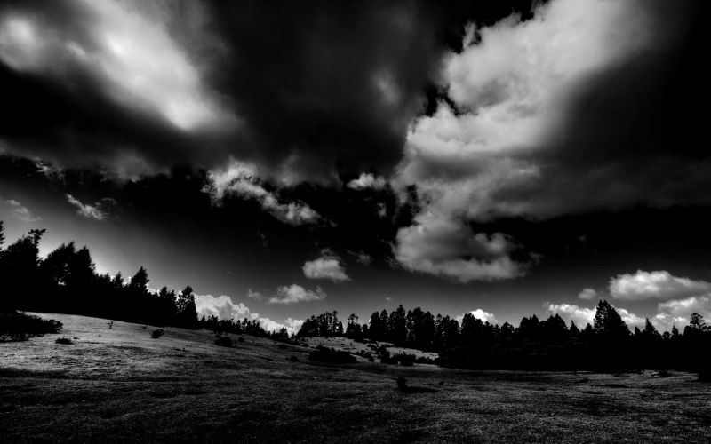slunečnímu záření, stromy, krajina, Černá, černobílý, Příroda slunečnímu záření, stromy, krajina, Černá, černobílý, Příroda