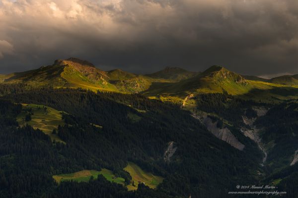 sunlight,trees,landscape,mountains,dark,hill