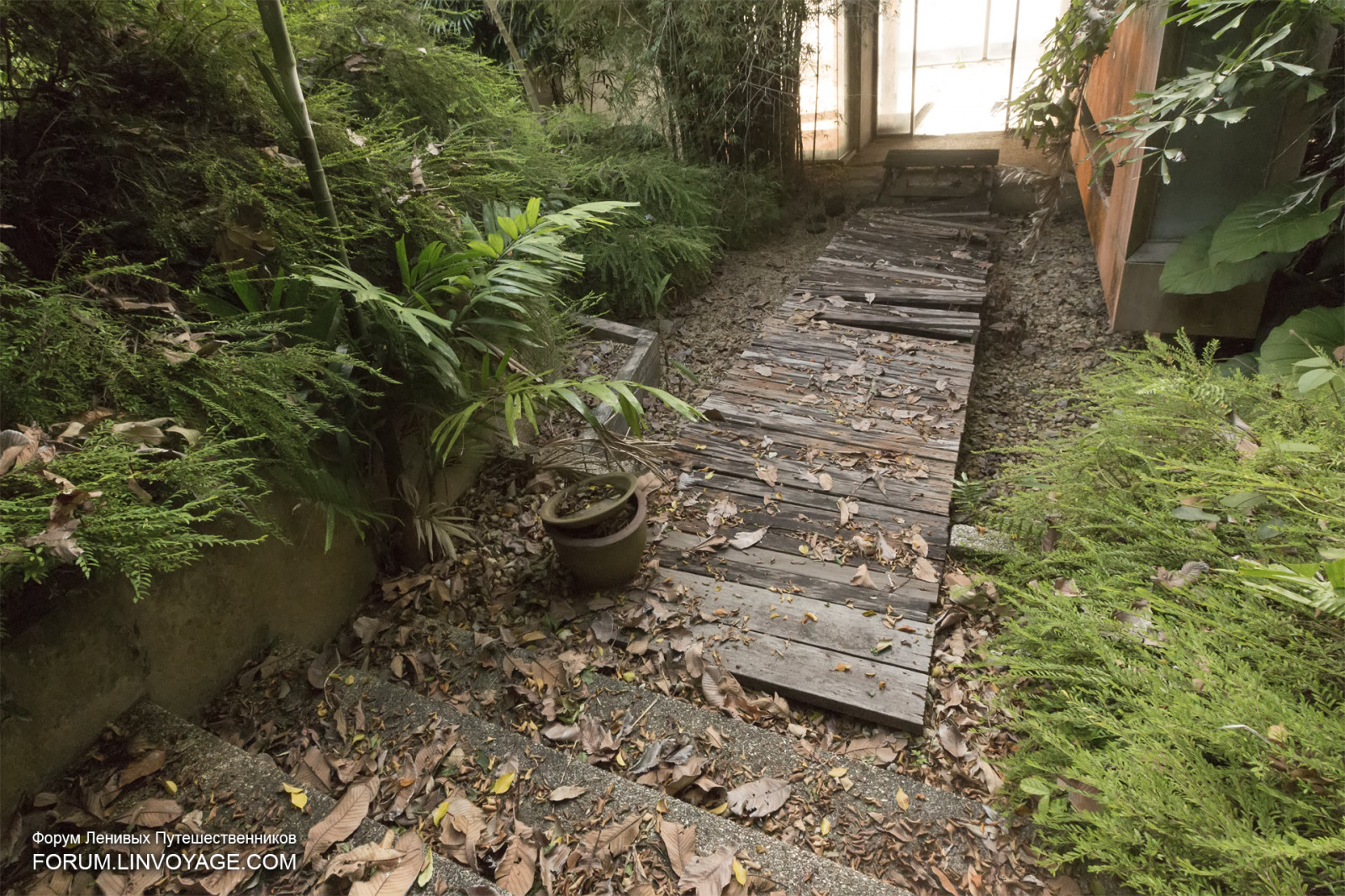 les, západ slunce, moře, zahrada, kopec, tráva, nebe, hotel, zelená, slunce, letovisko, džungle, proud, Thajsko, chodník, zadní dvorek, mrak, strom, list, hora, yard, venkovní, stezka, opustit, phuket, phuketian, phuketphotographernet, forumlinvoyagecom, httpforumlinvoyagecom, trávník, zálesí, půda, venkov, místo výskytu, přírodní prostředí