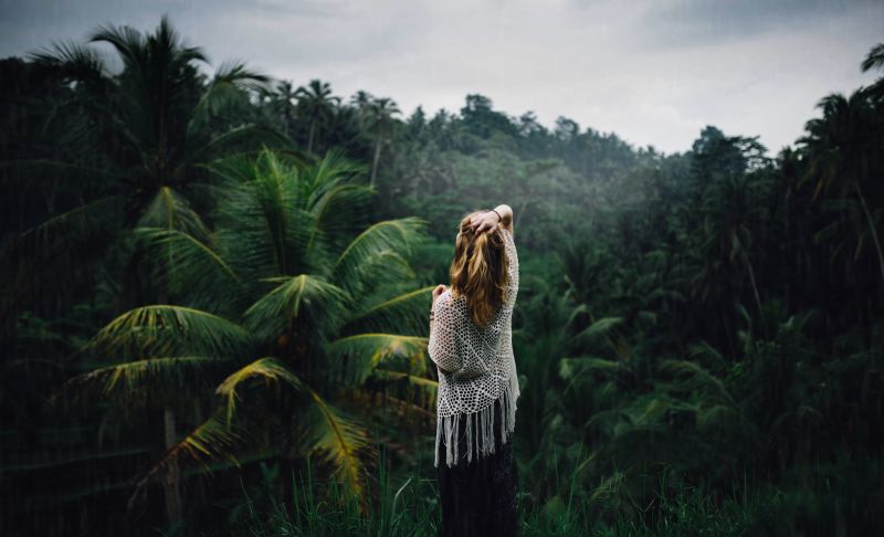 ป่า, สีเขียว, พืชพันธุ์, ระบบนิเวศ, ป่า, ต้นไม้