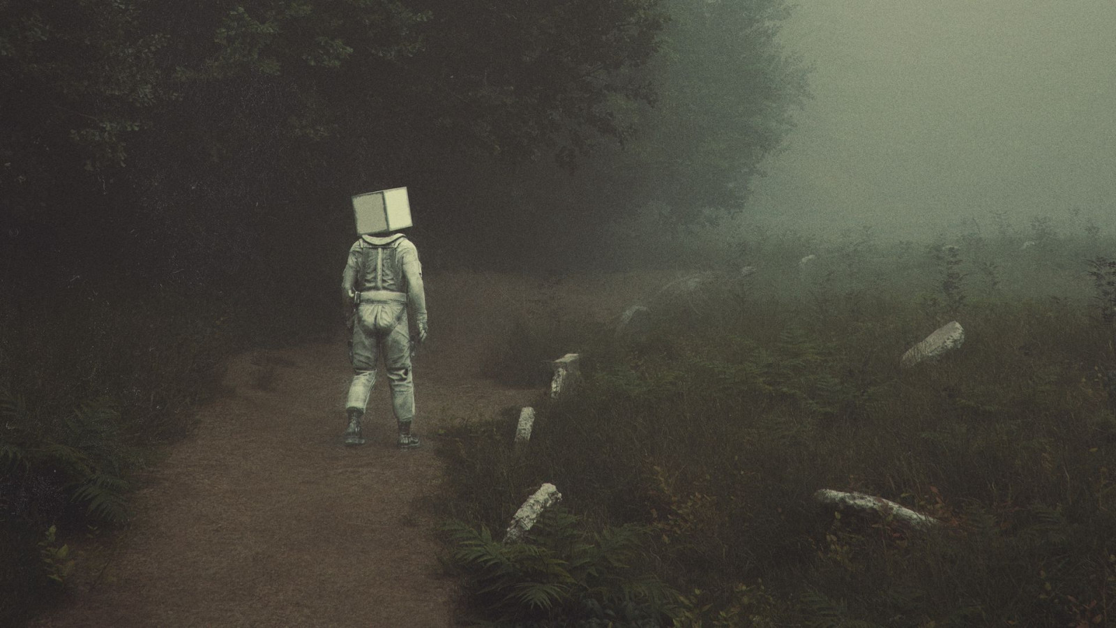 Wallpaper artwork, cube, box, fantasy art, grass 1920x1080 jrmnt 2219646 HD Wallpapers