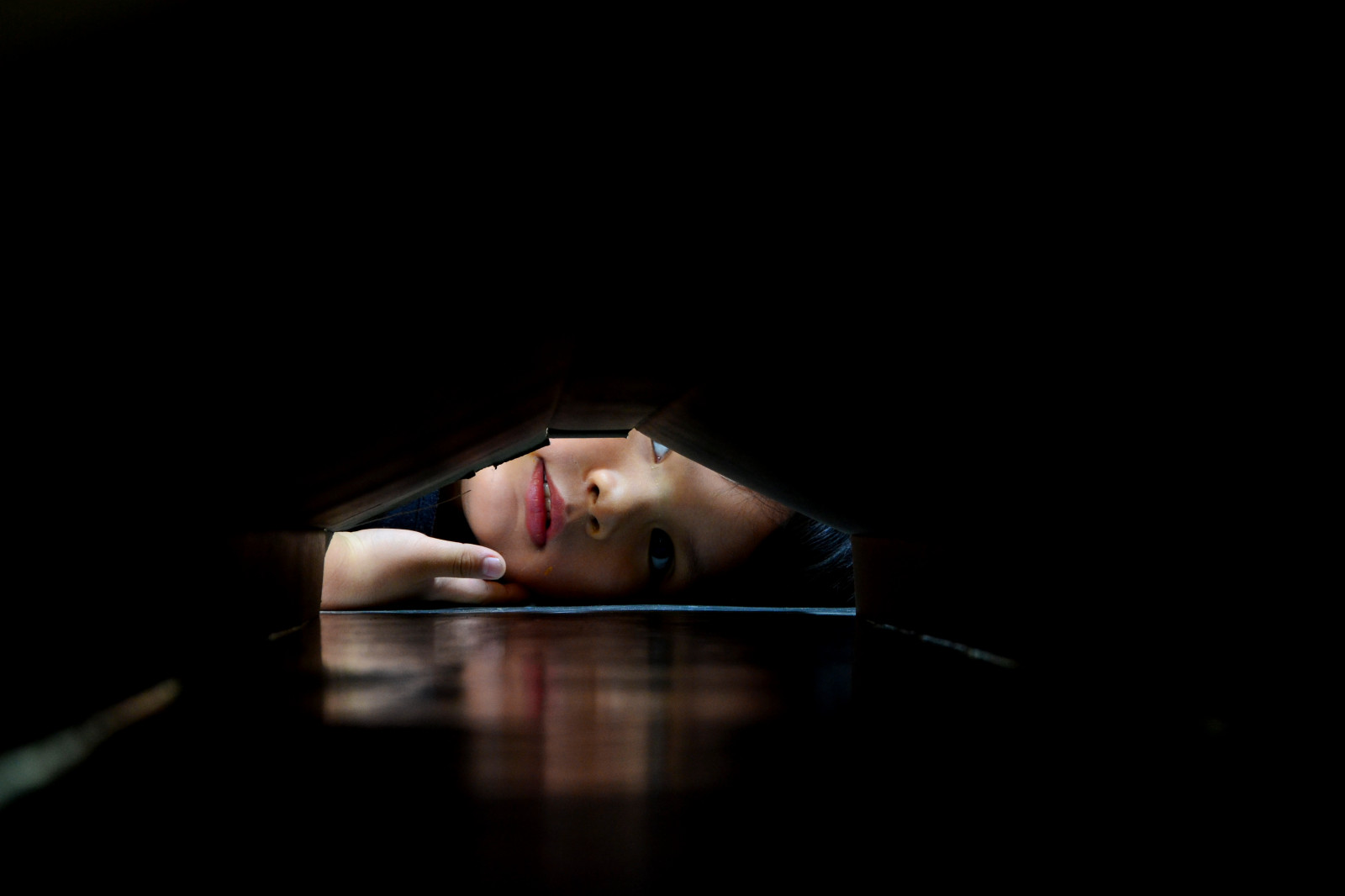 alberi, paesaggio, colorato, foresta, autunno, persone, cascata, vecchio, ritratto, città, strada, acqua, natura, parco, fotografia, legna, verde, panchina, Sole, bambino, Nikon, retroilluminazione, oro, vacanza, ruscello, a passeggio, Catturare, mezzanotte, bagno, burrone, Guardando, Madre, il trekking, Partire, leggero, bianco e nero, esposizione, bellissimo, scenario, autunno, nebbia, viaggio, artistico, vista, di seta, ragazza, bellezza, foto, Festival, edifici, galleria, felce, flusso, flickrfriday, turisti, oscurità, display, latteo, ragazzi, vivere, espressioni, gente, Cybershot, con, album, thephotographyblog, brullo, visualizzazioni, tu, impressione, sfondo del computer, sguardi, Webshots, sorprendente, bloog, urbanpaparazzi, flash photography