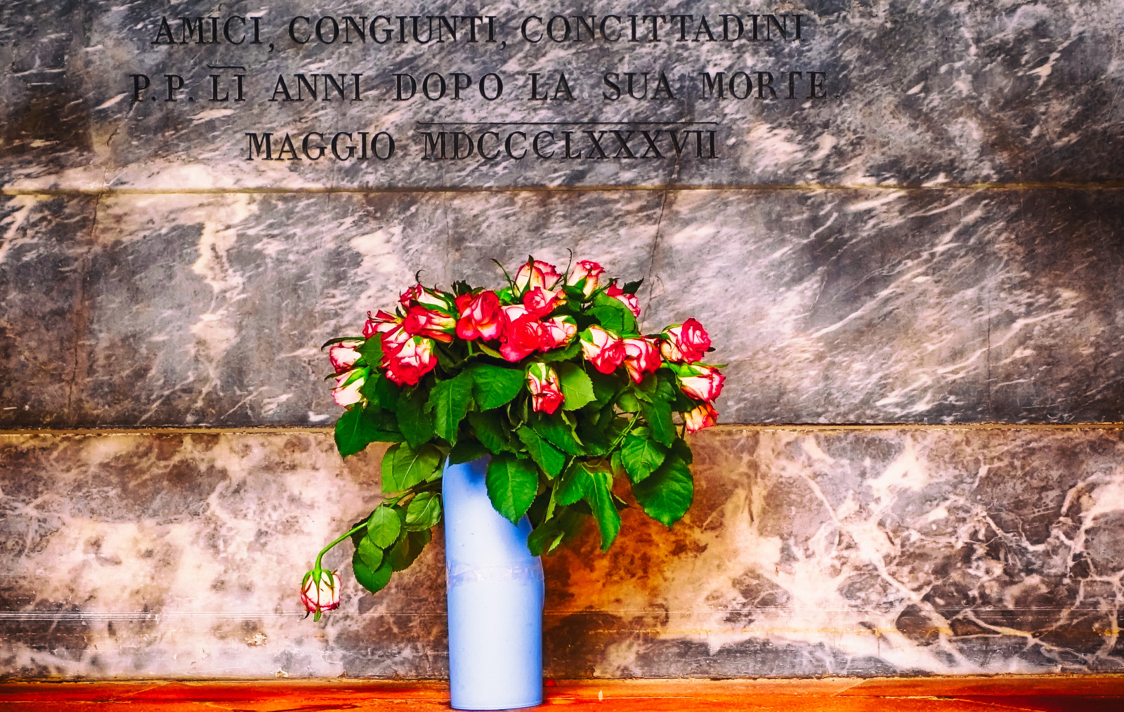 květiny, Červené, růže, růže, Zeiss, Florencie, bazilika, Sony, hrobka, Graves, Firenze, fiori, HDR, Santacroce, Gastone, viveza2, dscrx100mii, dscrx100m2, sonydscrx100mii, gastonemappini, mappini