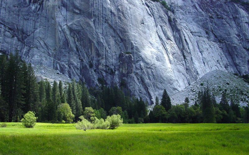 paesaggio, foresta, natura, valle, natura selvaggia, Alpi paesaggio, foresta, natura, valle, natura selvaggia, Alpi