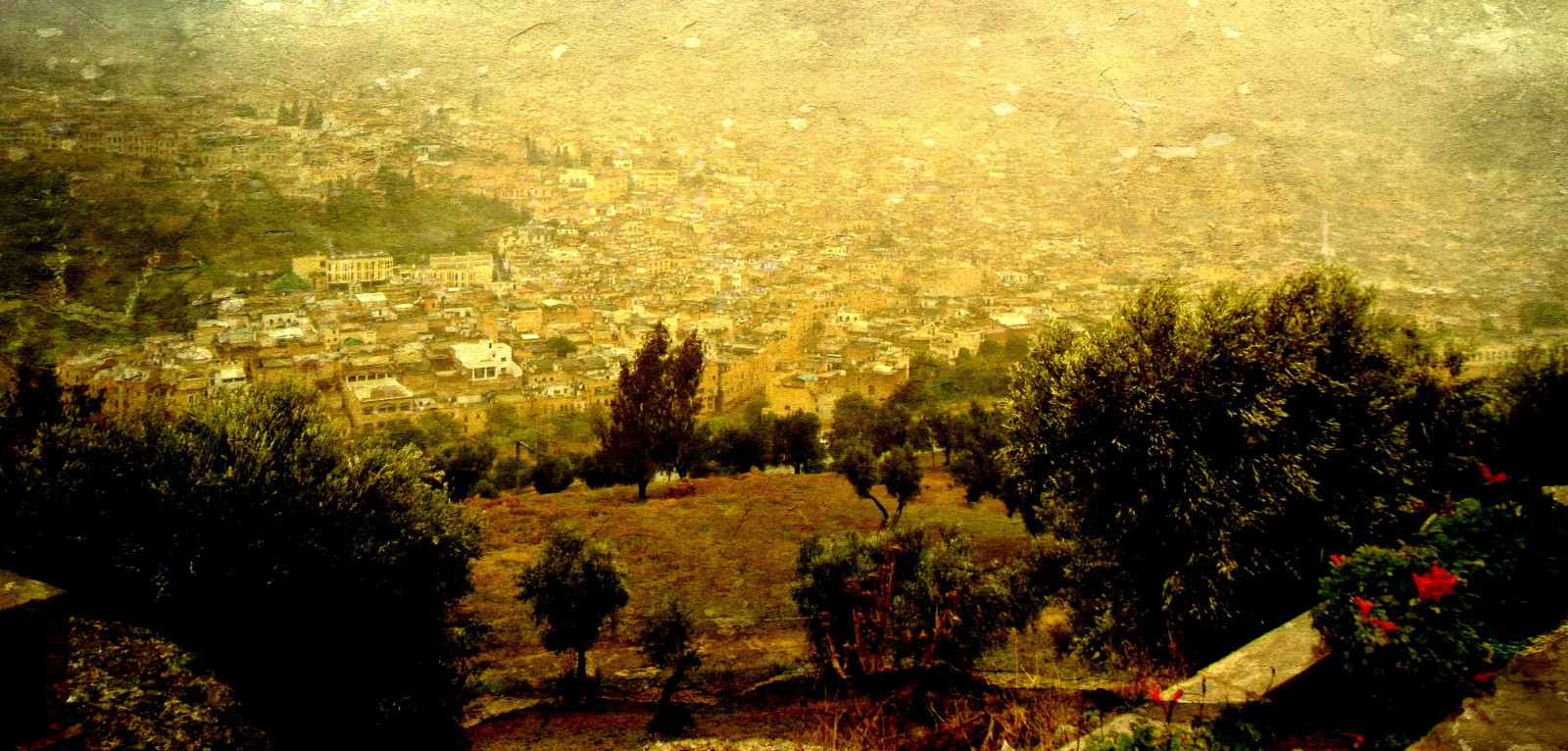 slunečnímu záření, les, město, panoráma města, Příroda, večer, ráno, Fez, textura, Království, džungle, Maroko, islám, strom, podzim, cestovat, list, Landschaft, květ, prozkoumat, sezóna, flóra, maroc, textur, Marokko, Stadt, plavby, Urlaub, afrika, rekuperační, Fes, reisen, roba66, effecte, Snímek obrazovky, nordafrika, acfrica, počítač tapeta, k nigsstadt