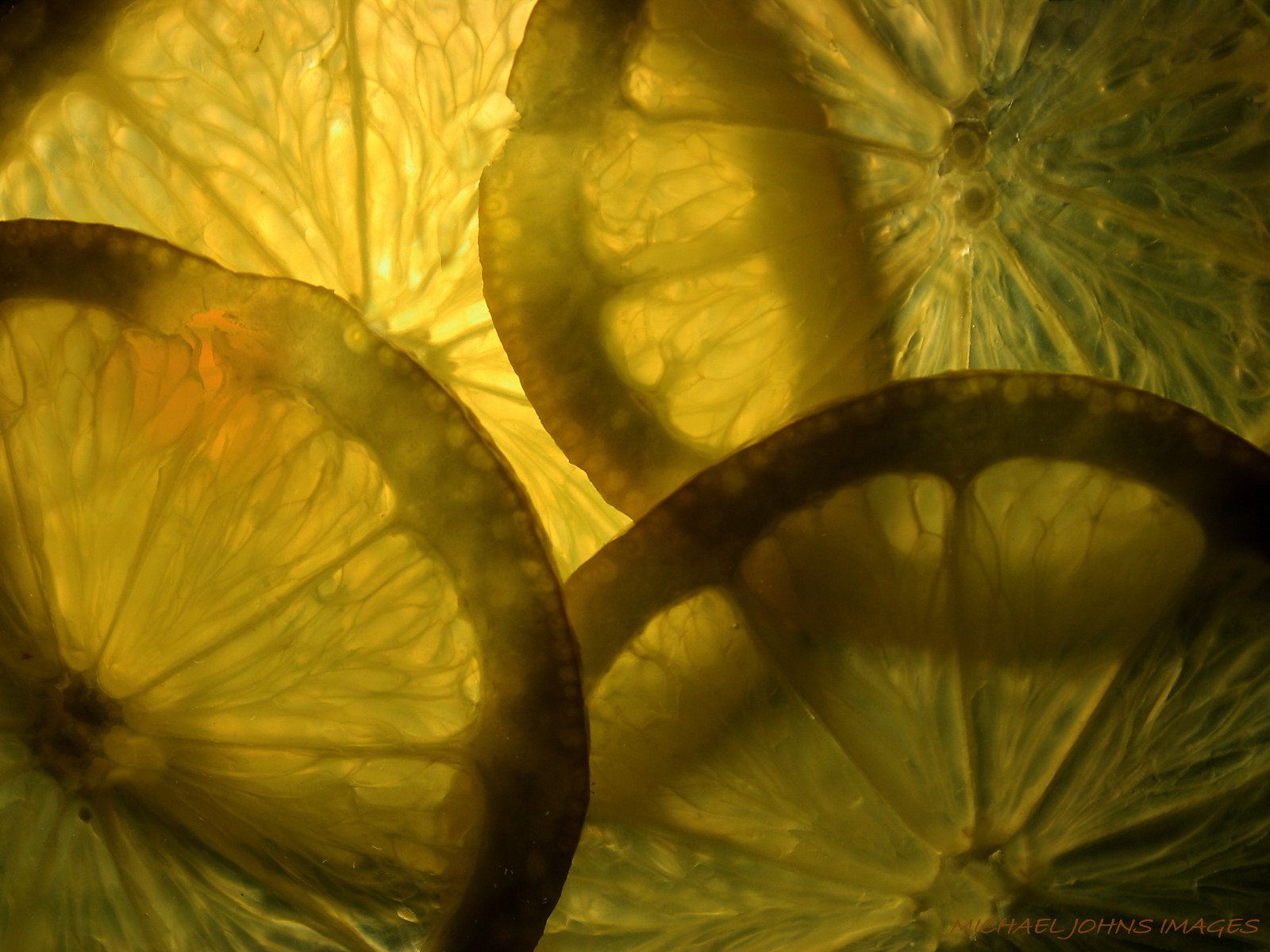 slunečnímu záření, Příroda, fotografování, detailní, ovoce, zelená, žlutý, zadní, podsvícení, světlo, strom, podzim, list, flickr, květ, rostlina, flóra, citrón, okvětní lístek, vyrobit, botanika, suchozemská rostlina, kvetoucí rostlina, zblízka, makro fotografie, arecales, šťavnatý, plátek