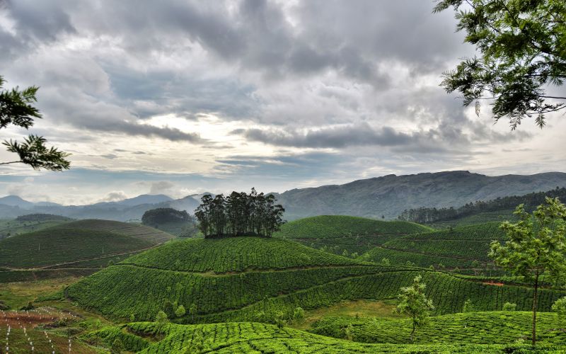 Hügel,2880x1800 px,Wolken,Feld,Wald,Indien
