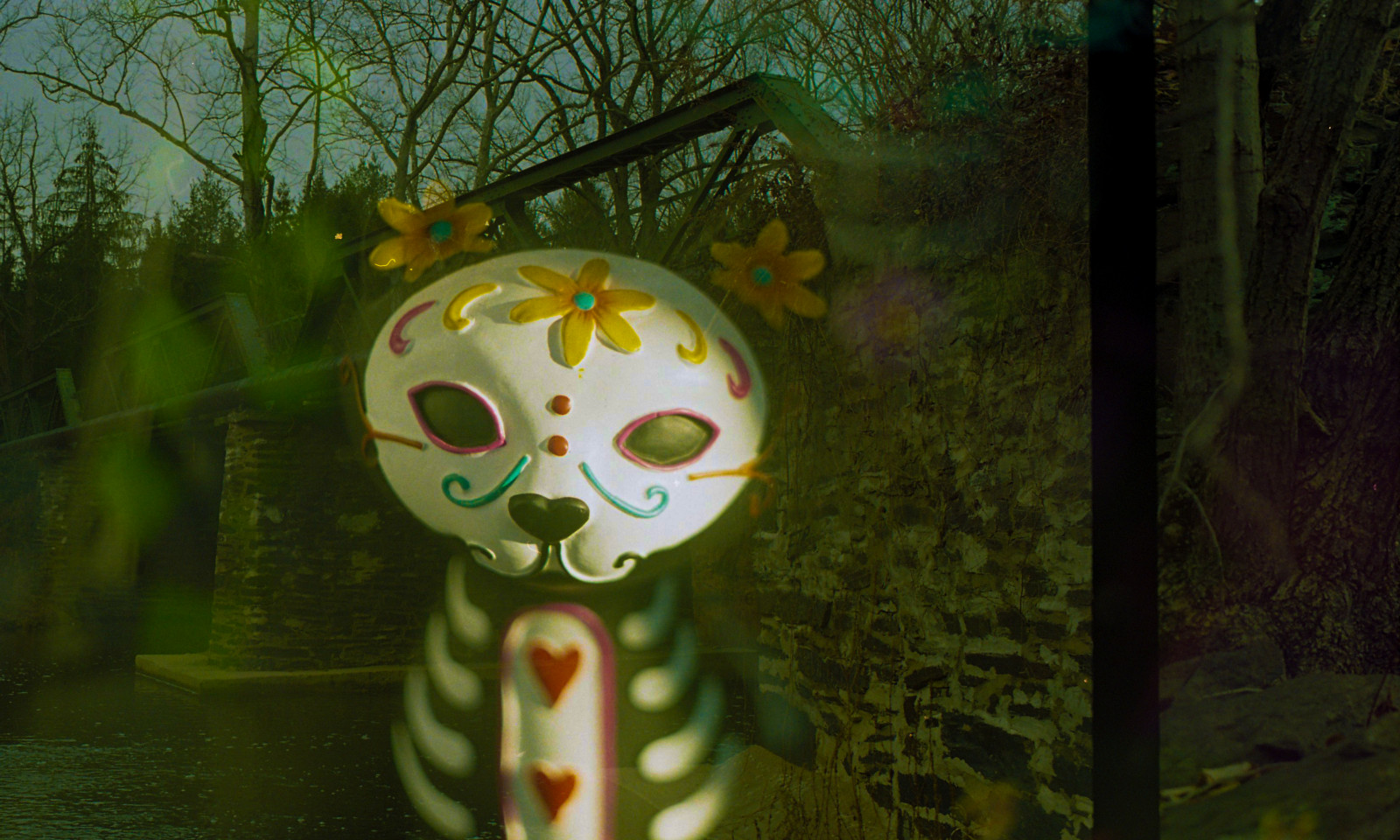 Katze, Gras, Maske, Grün, Brücke, Doppelbelichtung, KUNST, Baum, Blatt, Pflanze, Flora, 35mmfilm, Computer-Tapete, Organismus, Kodak400, Filmswap, Tag der Toten, Diadelosmuertos, Zenitb, Mandykerr, Katepollack, visual arts