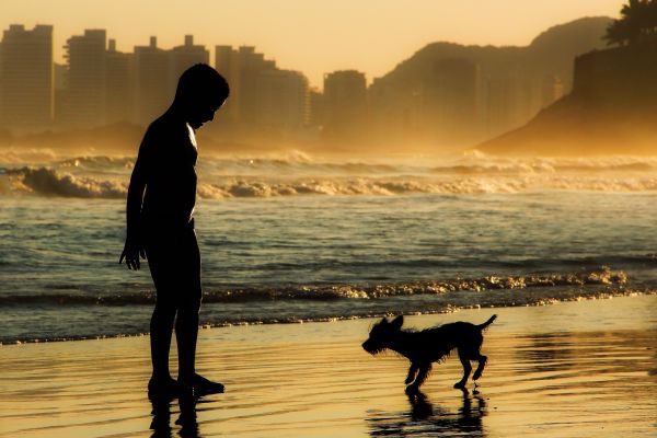 sea,water,sunset,street,children,nature