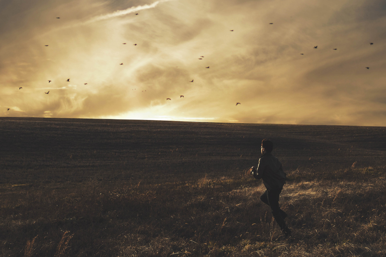 luce del sole, uccelli, tramonto, mare, collina, natura, abbandonato, cielo, fotografia, silhouette, Alba, sera, mattina, Sole, vento, orizzonte, crepuscolo, 2015, Hannover, Virginia, mette in risalto, leggero, nube, alba, i campi, va, oscurità, fenomeno atmosferico, atmosfera della terra, bryan, chavez, Senza titolo