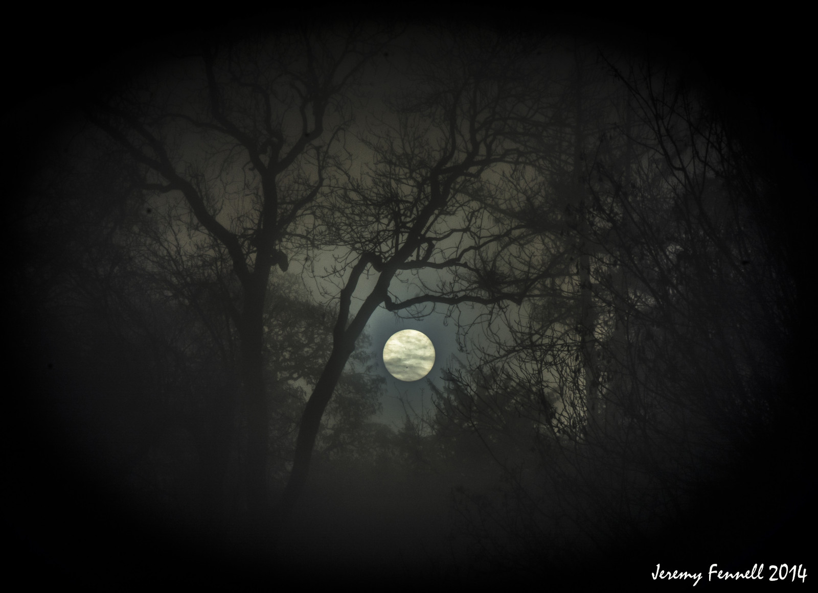 햇빛, 나무, 단색화, 밤, 해돋이, 달, 월광, 분위기, 십일월, 한밤중, 2014, 빛, 안개, 어둠, nikond7100, 스크린 샷, 컴퓨터 벽지, 검정색과 흰색, 흑백 사진, 보름달, blaisecastleestate, 사진 비서실