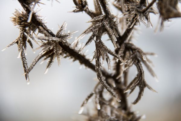 geolocation,cold,ice,is,frost,kallt