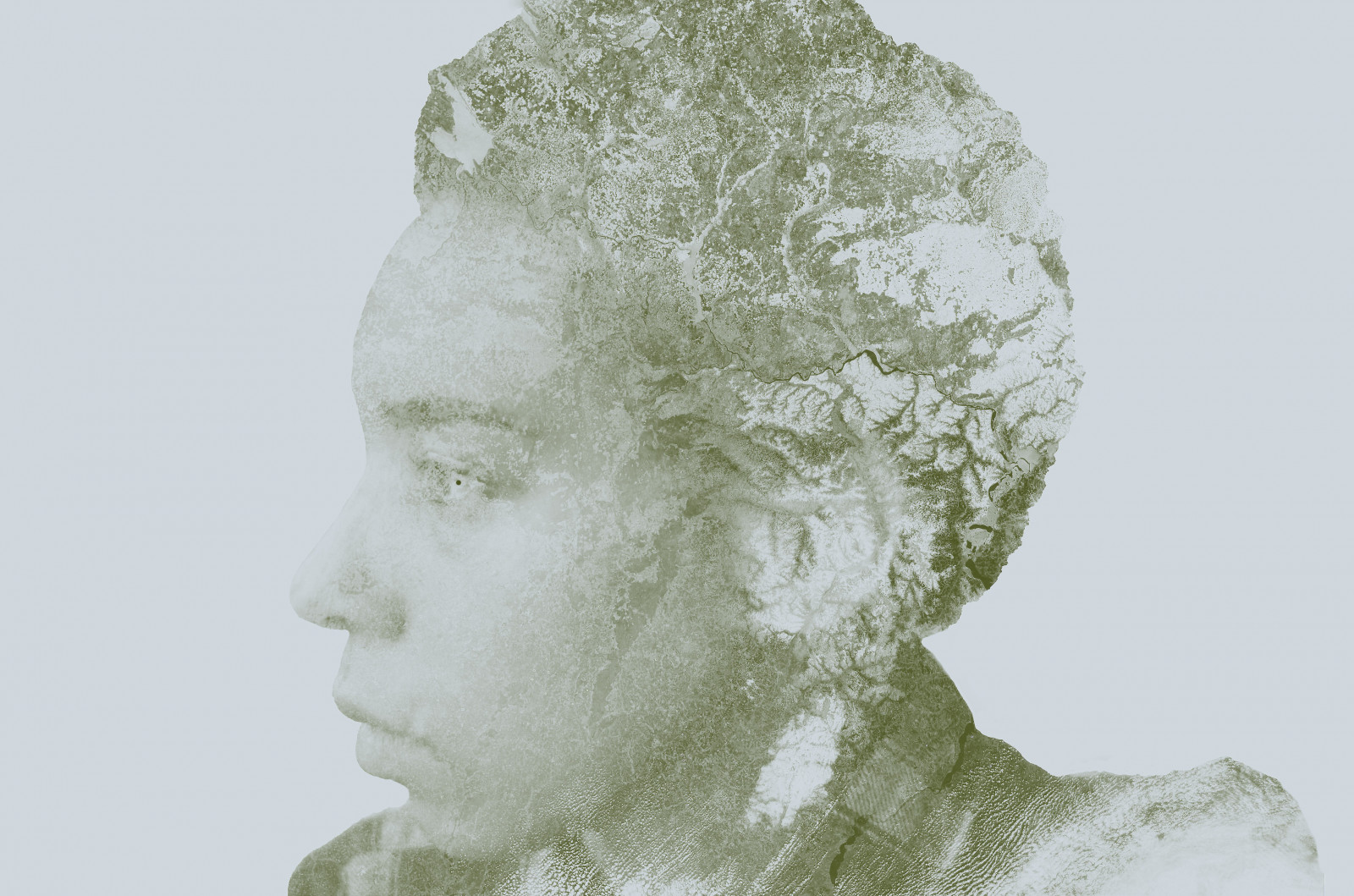 tvář, výkres, Photoshop, černobílý, květiny, Příroda, kameny, rostliny, fotografování, nachový, sochařství, socha, dvojexpozice, hlava, UMĚNÍ, skica, Černý a bílý, monochromatické fotografování