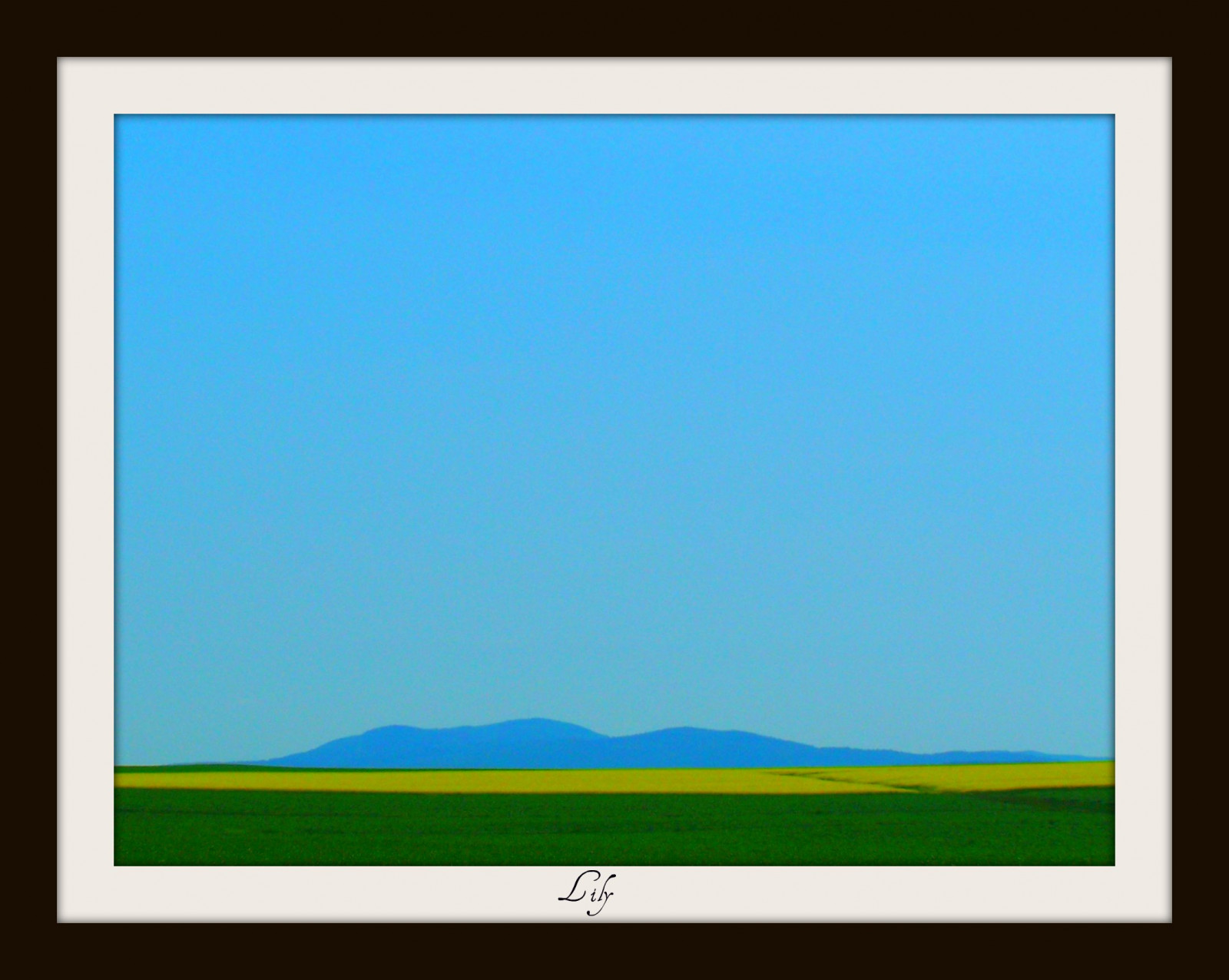 modrý, Kanada, zelená, krása, žlutý, žlutá, úžasný, vert, bleu, nový Brunswick, Beaute, Lilyc