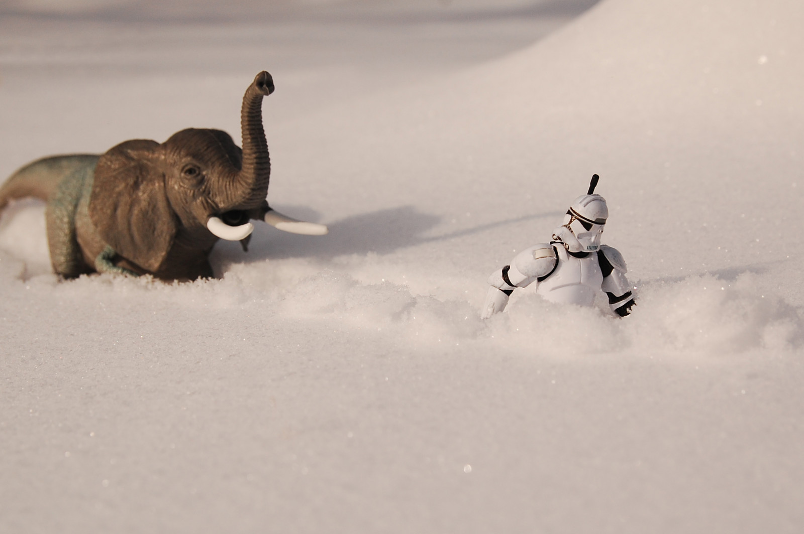 โอกลาโฮมา, starwars, Mustang, ตกลง, Clonetrooper, erex, rudydean