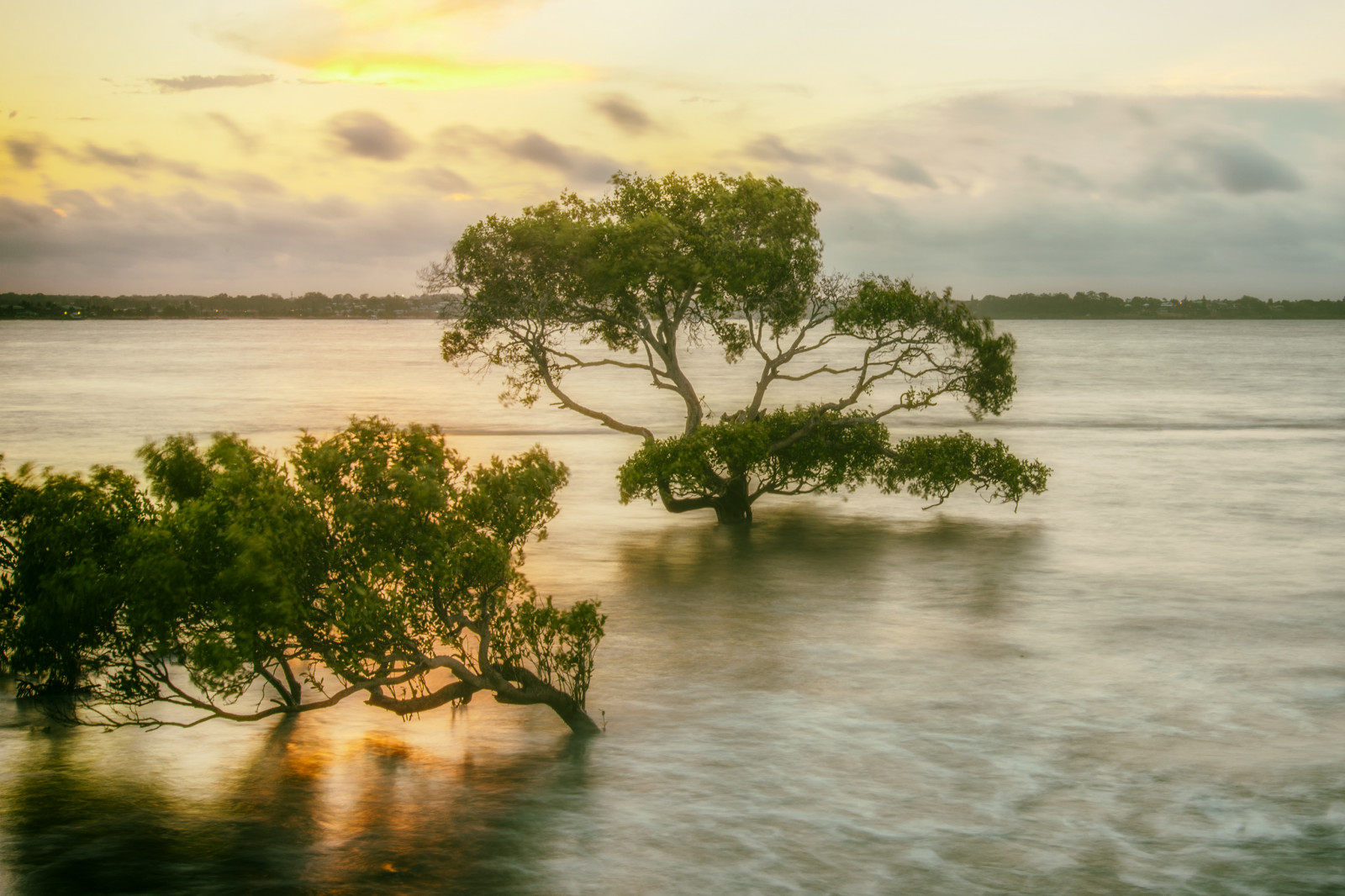 eau, réflexion, la nature, arbre, rivière, Banque, Plante boisée, Zone humide, ciel, Matin, nuage, rive, Lac, soir, bayou, branche, paysage, calme, horizon, Plaine d'inondation, lumière du soleil, Aube, réservoir, plante, marais, ressources en eau, herbe, le marais, brouillard, loch