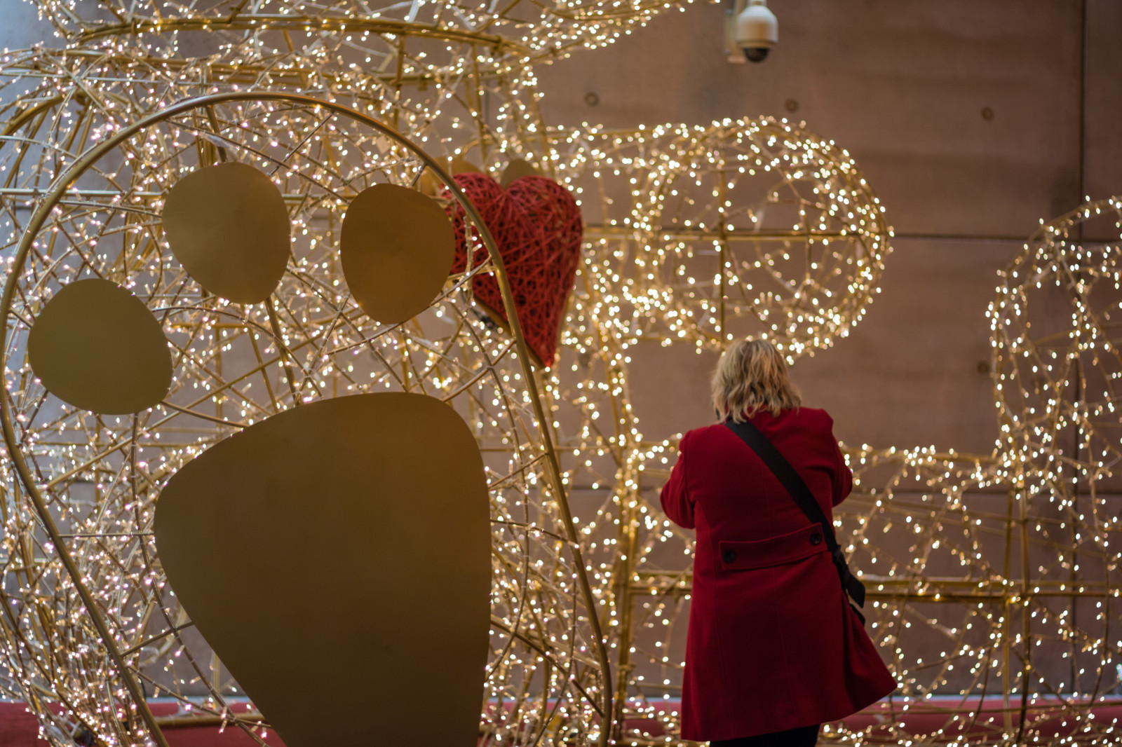 noc, Vánoce, Dovolená, Vánoční osvětlení, květ, stanice, Vánoce, července, vlakové nádraží, Triangeln, Medvídek, Nalle, Malmo, t gstation, gatufoto, nightphotography, Natt, v noci, exif modelu canoneos760d, geocountry, Kamera aby kánon, geocity, Model fotoaparátu canoneos760d, exif isospeed 250, geostate, geolocation, exif aby kánon, exif focallength 50mm, EXIF ef50mmf18stm čočka, EXIF otvor 18, teddy, bj rn, streetphotography, nattfotografering, výzdoba, vánoční dekorace