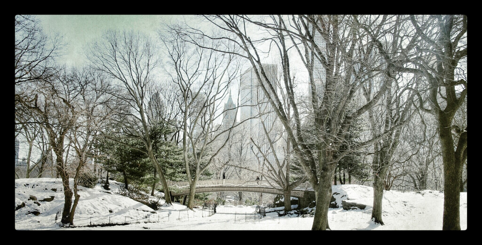 stromy, les, bílý, černobílý, sníh, zima, most, zmrazení, strom, počasí, Amerika, sezóna, newyork, vánice, zálesí, Černý a bílý, monochromatické fotografování, zimní bouře, velké jablko, vacaton, manhatton