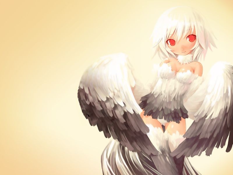 ilustrace, anime, anime dívky, křídla, Původní znaky, pták ilustrace, anime, anime dívky, křídla, Původní znaky, pták