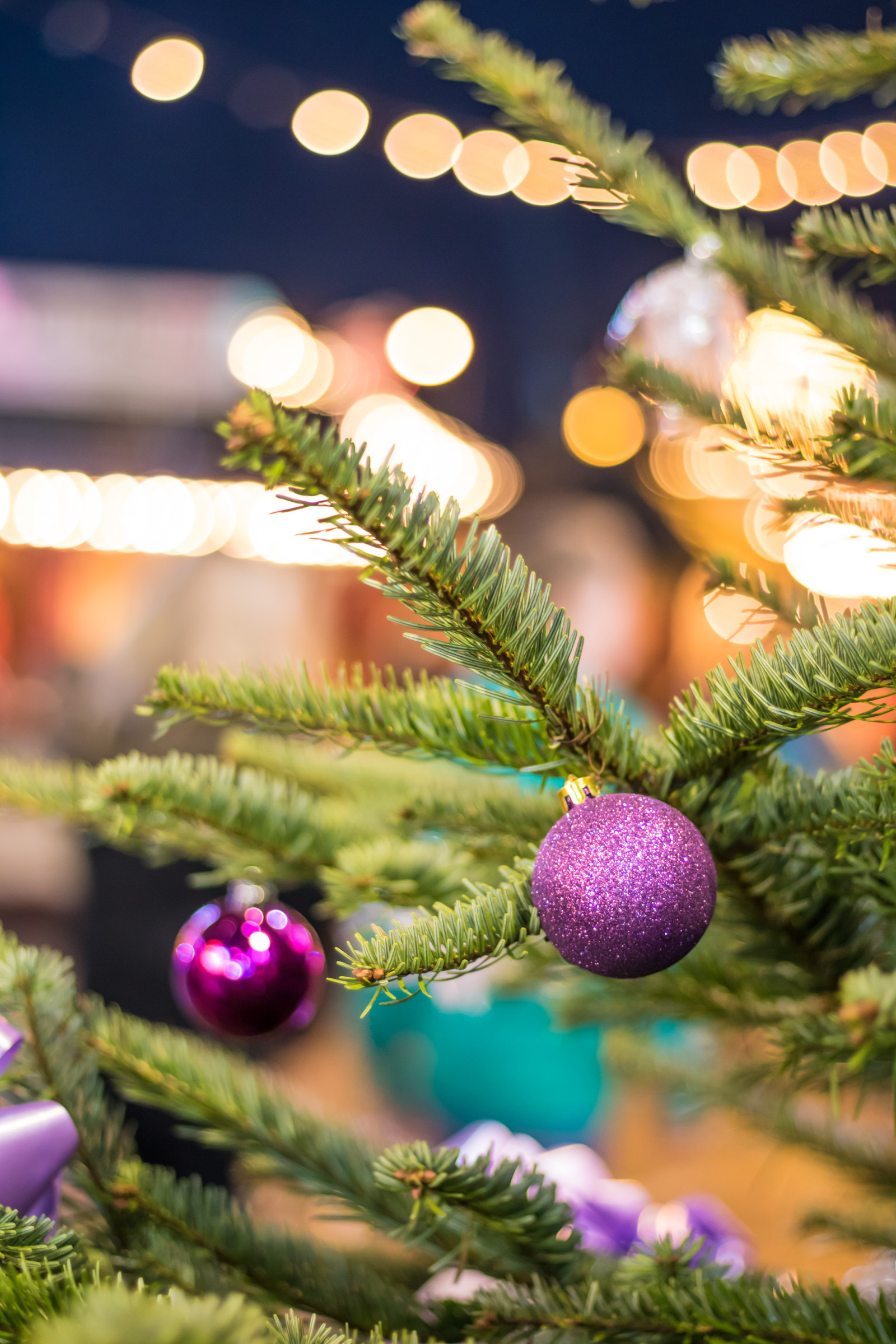 větev, Německo, smrk, Vánoční strom, Vánoce, jedle, jehličnatý strom, strom, květ, rostlina, Vánoce, flóra, vánoční trh, července, Německo, deutschland, Rostock, julmarknad, exif modelu canoneos760d, geocountry, Kamera aby kánon, geocity, Model fotoaparátu canoneos760d, geostate, geolocation, exif aby kánon, exif focallength 50mm, exif isospeed 800, EXIF ef50mmf18stm čočka, EXIF otvor 18, weinachtsmarkt, vyrobit, botanika, suchozemská rostlina, dřevina, vánoční dekorace, makro fotografie