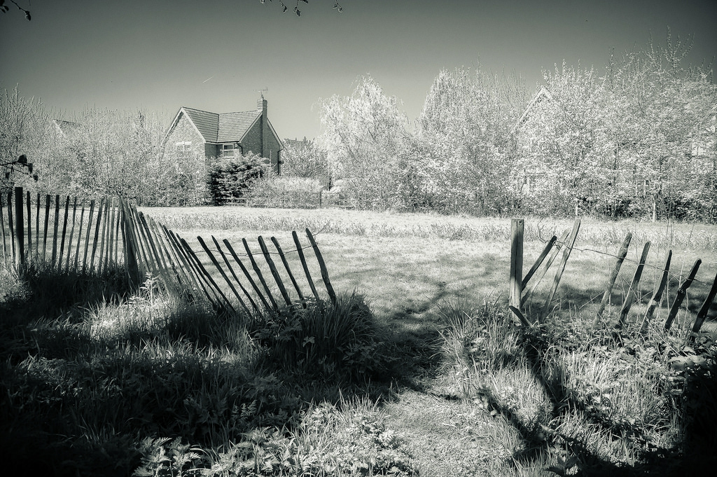 Příroda, Černý a bílý, strom, monochromatické fotografování, dřevina, fotografování, zima, černobílý, atmosféra, větev, nebe, ráno, jev, krajina, tráva, zmrazení, plot, slunečnímu záření, mráz, stock photography, zálesí, rostlina, visual arts, voda, zátiší fotografování