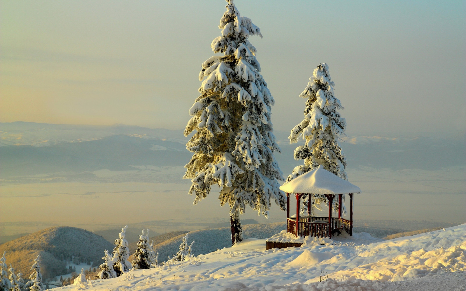 アーバー, 冬, 雪, 山々, 救済, 木