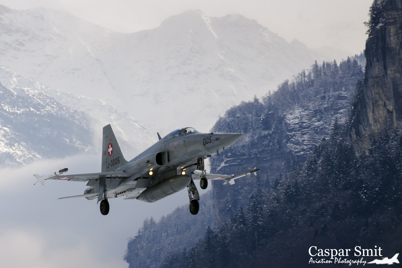 fly, fly, tiger, Nikon, militærfly, luftvåben, Flyvningen, bjerg, D7000, fighter, luftfart, luftvåben, Jet, swiss, bjergkæde, jagerfly, aerospace engineering, passagerfly, jetfly, propeldrevne fly, f5, Northrop, Meiringen, fliegerstaffel, lsmm, j3005